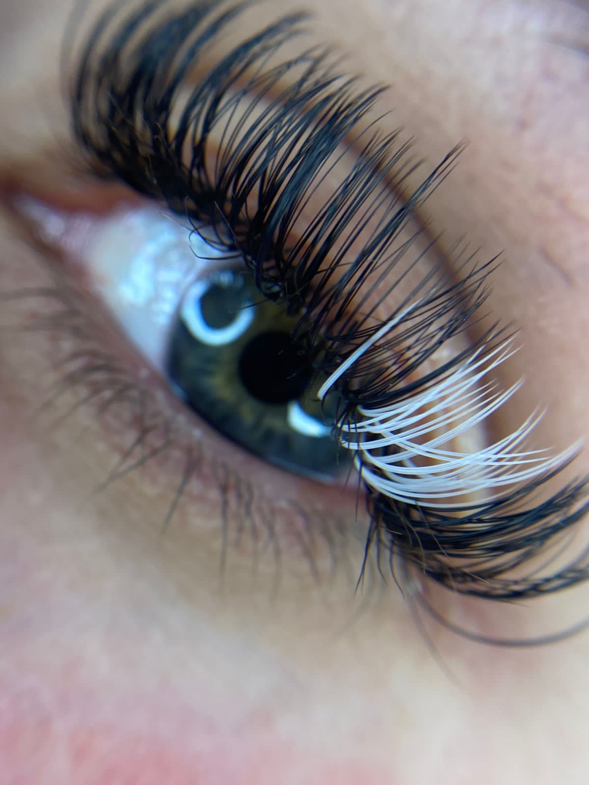 foto referencial color